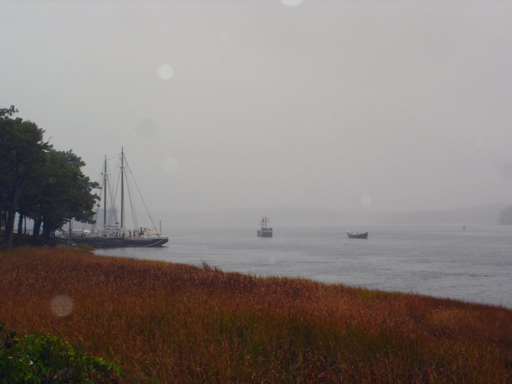 maine coast.jpg